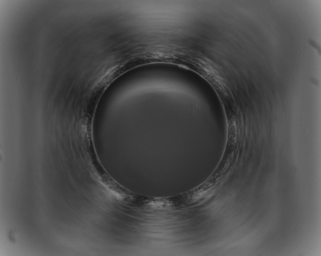 X0000095530415200712141506
