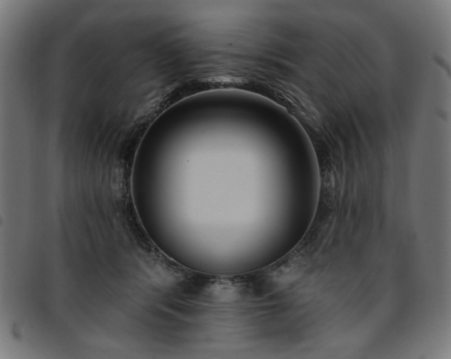 X0000095530416200712141506