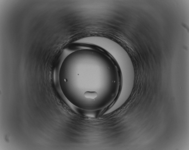 X0000095530417200712141506
