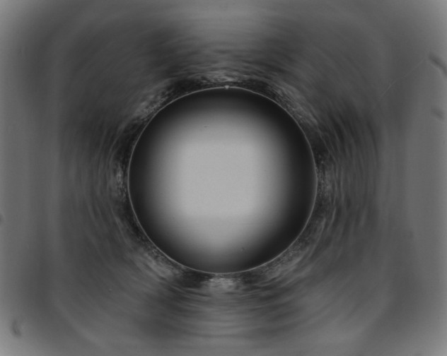 X0000095530418200712141506