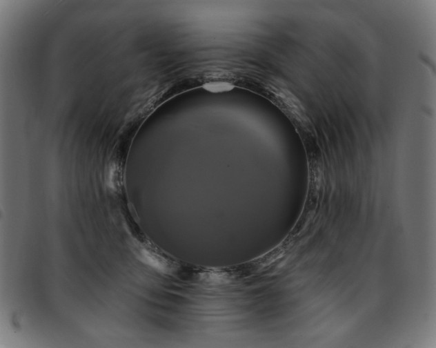 X0000095530419200712141506