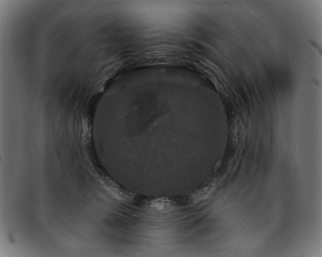 X0000095530420200712141506
