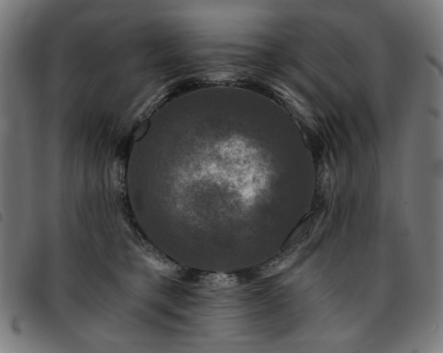 X0000095530421200712141506
