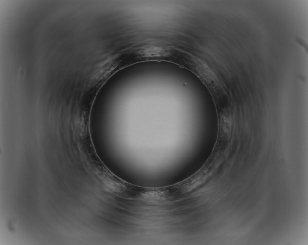X0000095530422200712141506