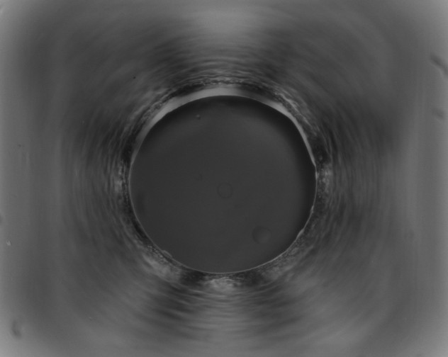 X0000095530423200712141506