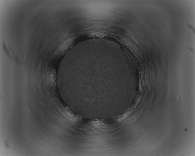 X0000095530424200712141506