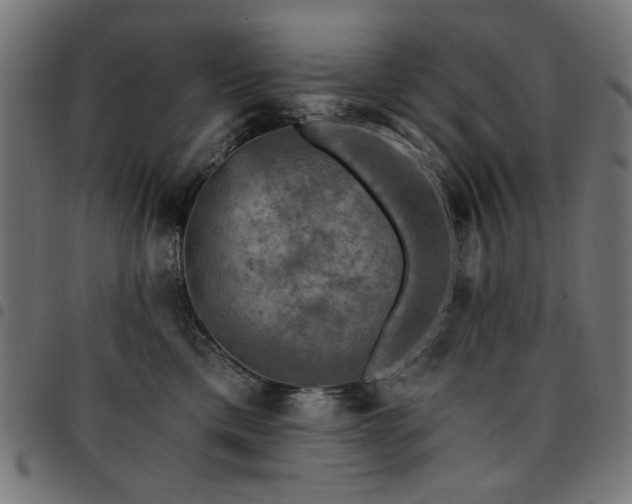 X0000095530425200712141506