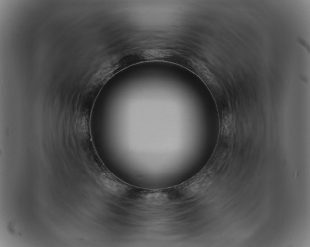 X0000095530426200712141506