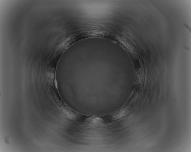 X0000095530427200712141506
