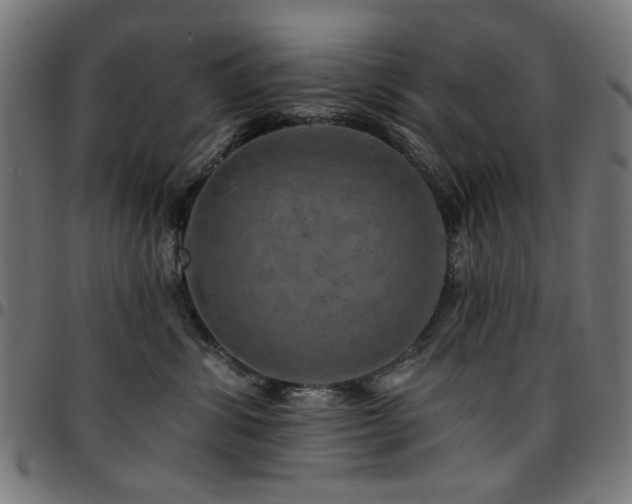 X0000095530428200712141506