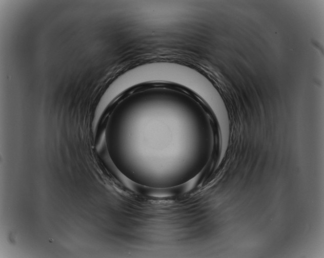 X0000095530429200712141506