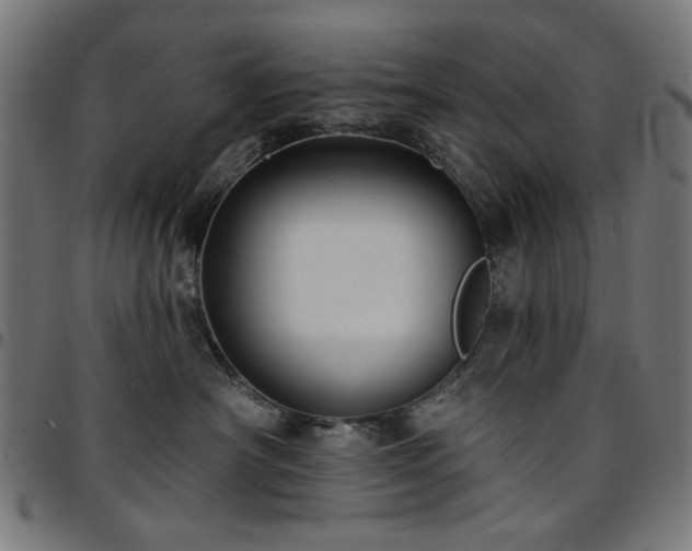 X0000095530430200712141506