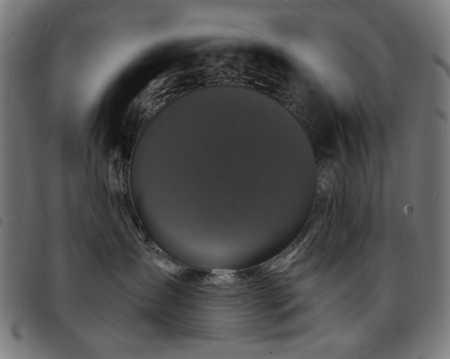 X0000095530431200712141506