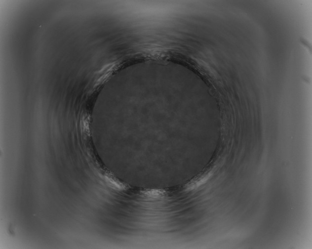 X0000095530432200712141506