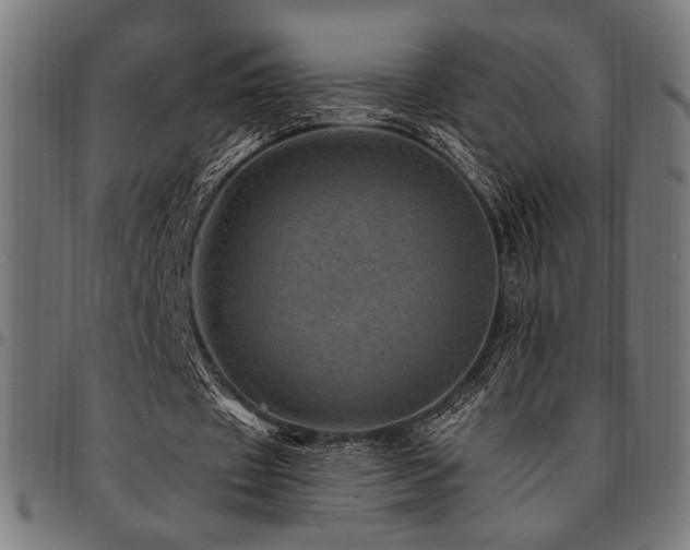 X0000095530433200712141505