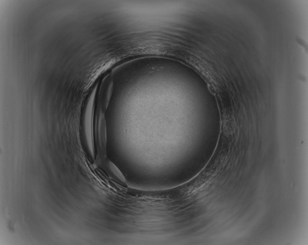X0000095530434200712141505