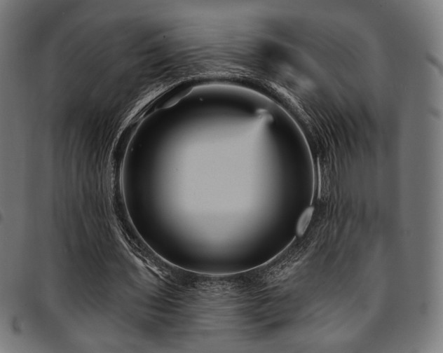X0000095530435200712141505