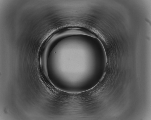 X0000095530436200712141505