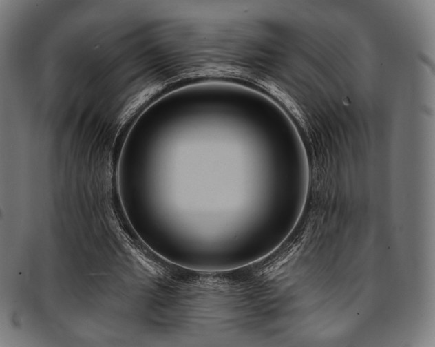 X0000095530437200712141505