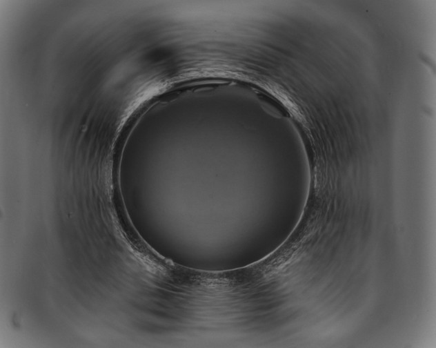 X0000095530438200712141506