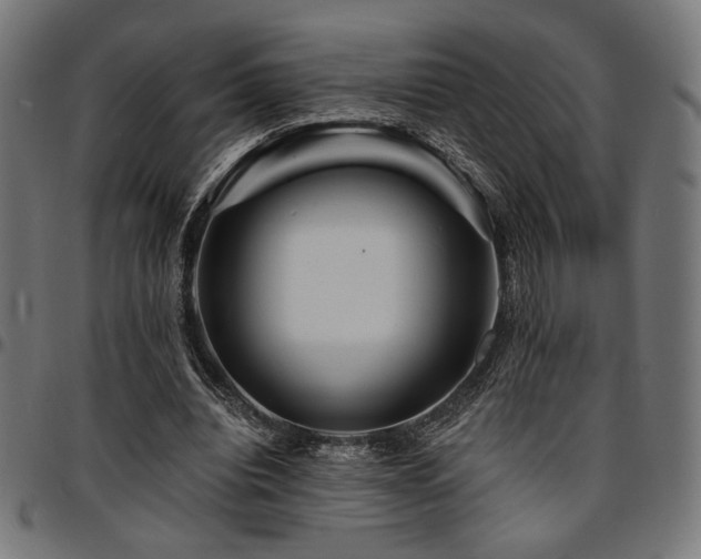 X0000095530440200712141506
