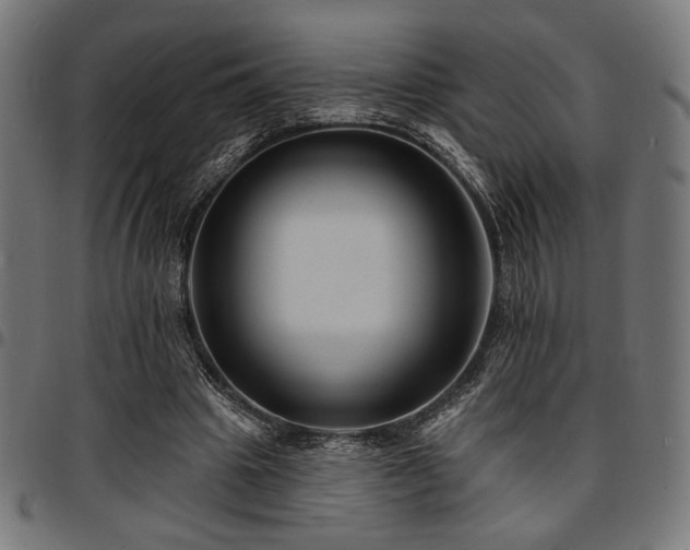 X0000095530441200712141506
