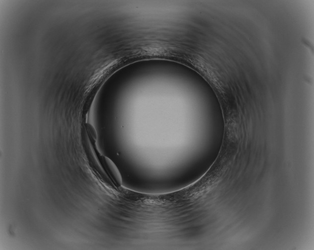 X0000095530442200712141506