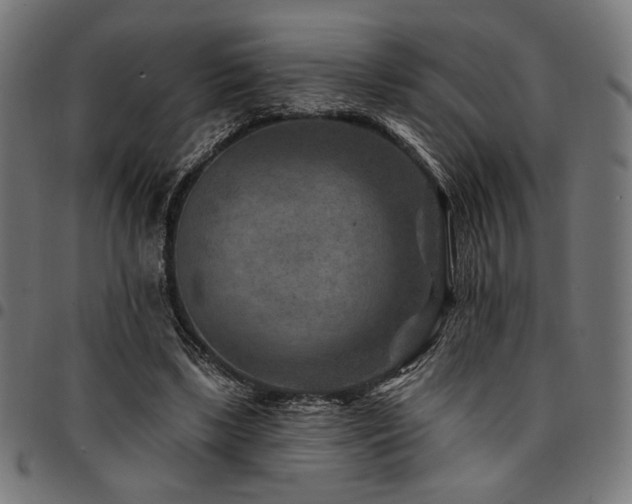 X0000095530443200712141506