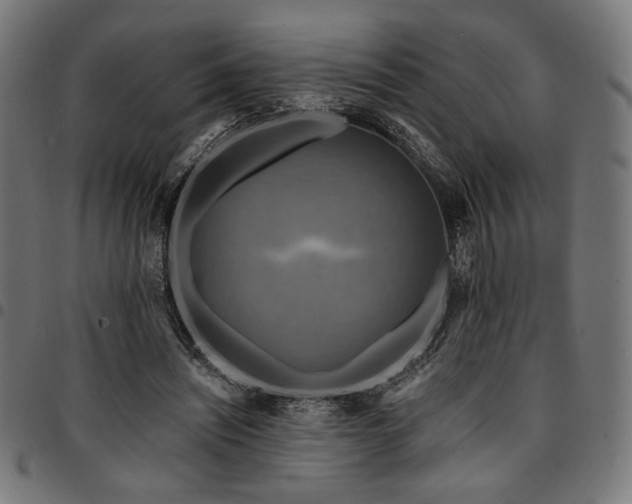 X0000095530444200712141506