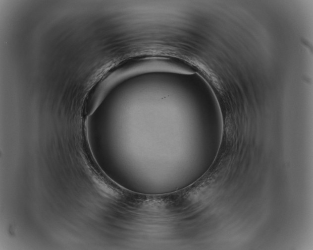 X0000095530445200712141506
