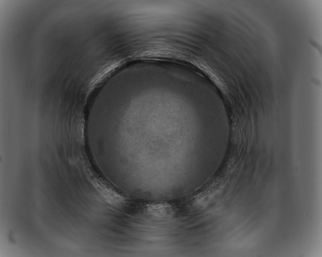 X0000095530446200712141506