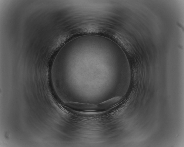 X0000095530447200712141506