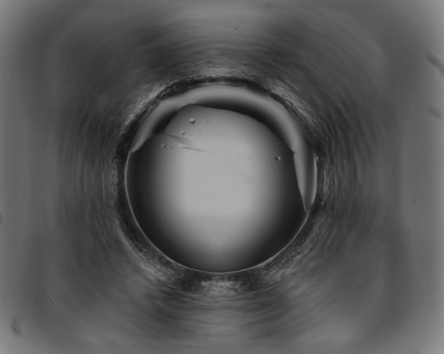 X0000095530448200712141506