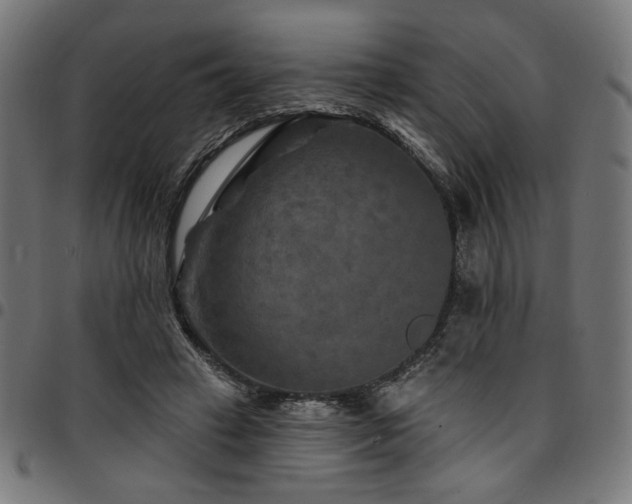 X0000095530449200712141506