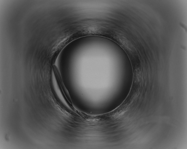 X0000095530450200712141506