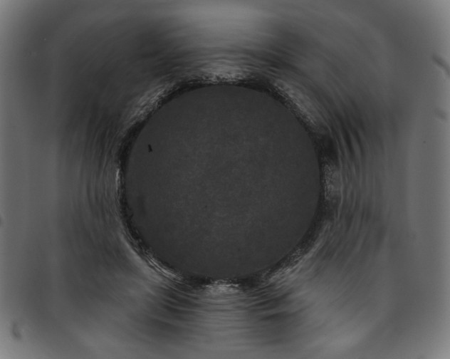 X0000095530451200712141506