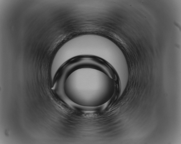 X0000095530452200712141506