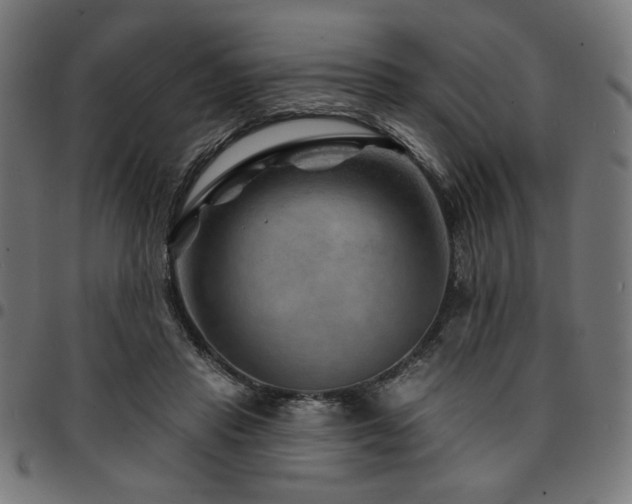 X0000095530453200712141506