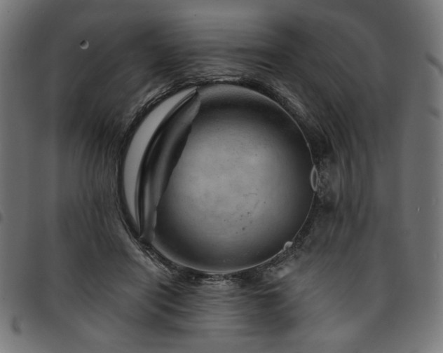 X0000095530454200712141506