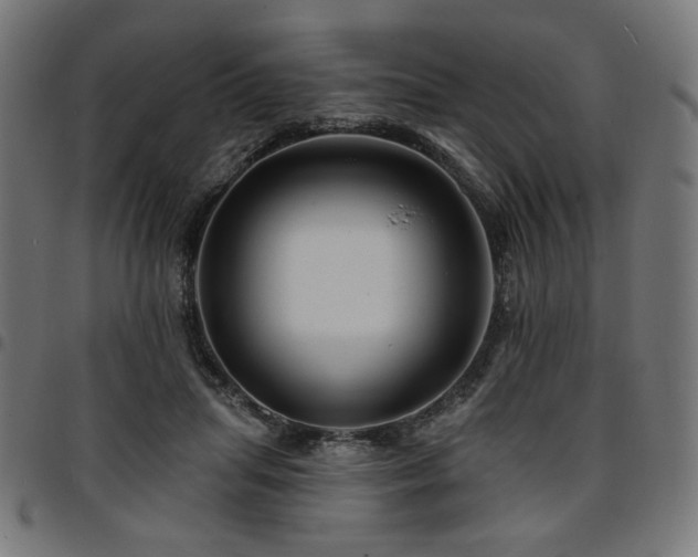 X0000095530455200712141506