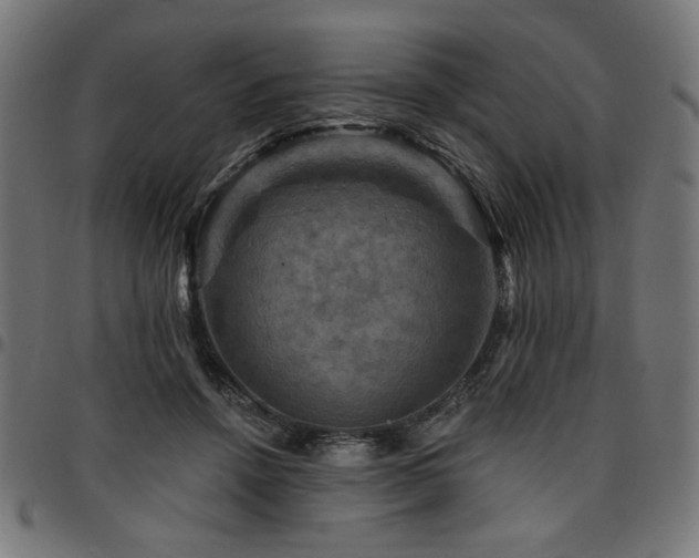 X0000095530456200712141506