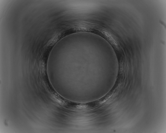 X0000095530457200712141506