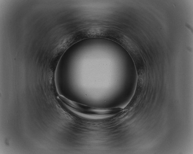 X0000095530458200712141506