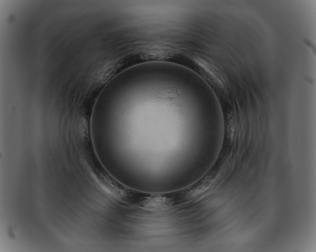 X0000095530459200712141506