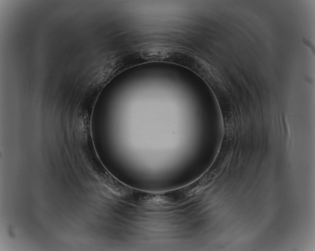 X0000095530460200712141506