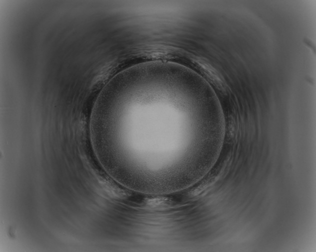 X0000095530461200712141506