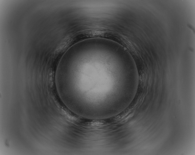 X0000095530462200712141506