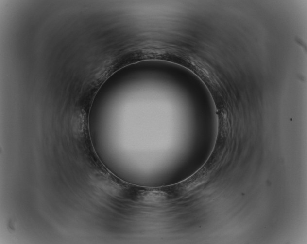 X0000095530463200712141506