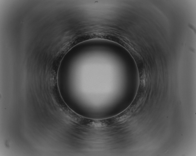 X0000095530464200712141506
