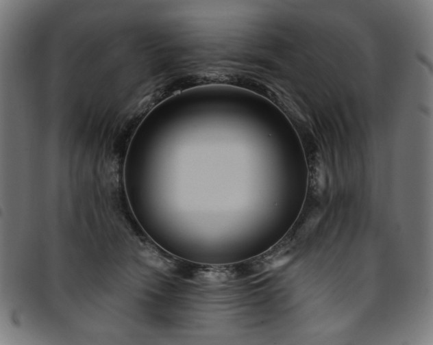 X0000095530466200712141506